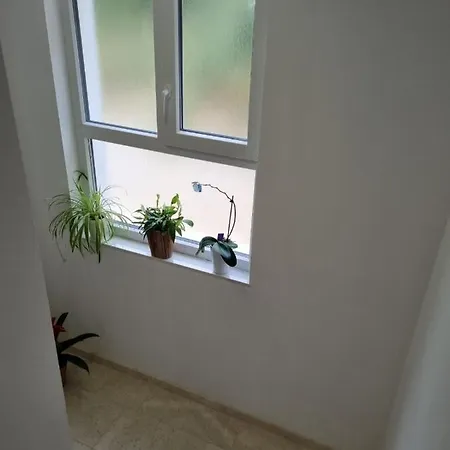 Apartment Tolj *