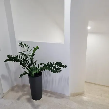 Apartment Tolj *